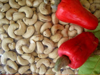 Cashew Kernels